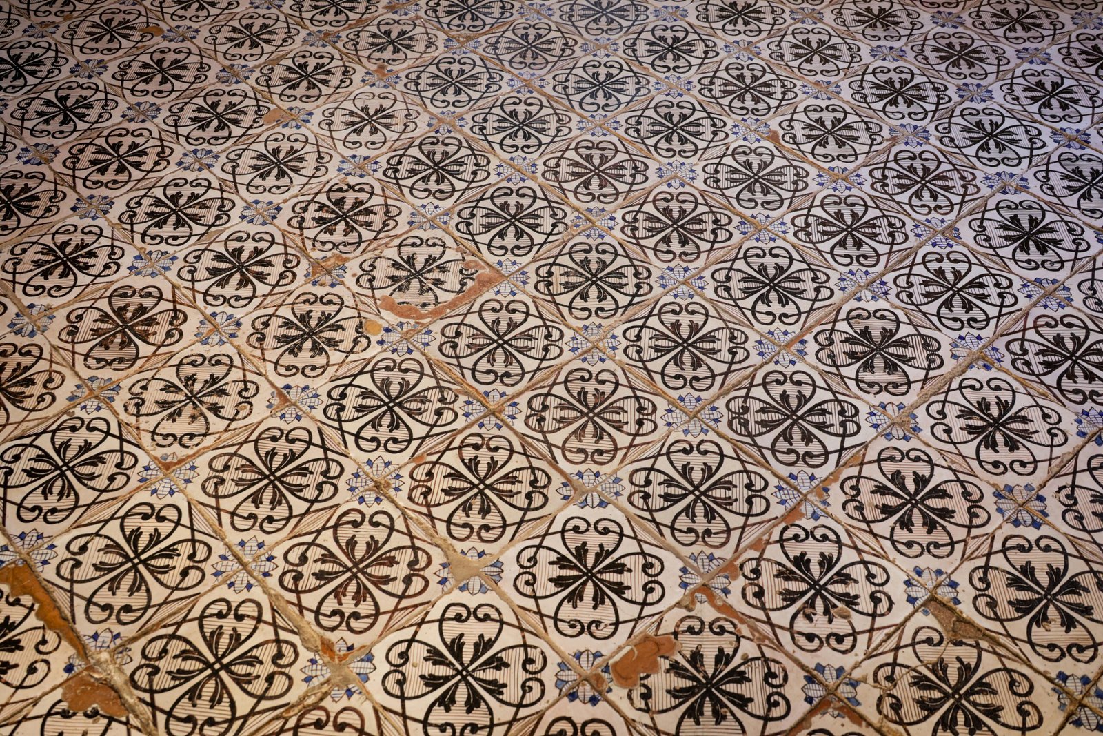 Geometric Pattern Rak Tiles RAK Ceramic Tile - Tiles and Sanitary Suppliers UAE